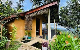 Rainforest Nature House