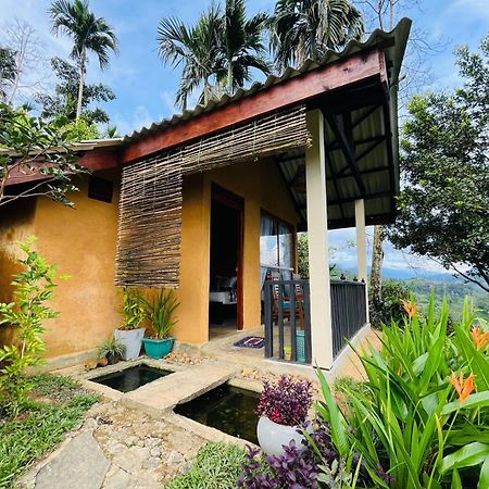 Rainforest Nature House Deniyaya Buitenkant foto