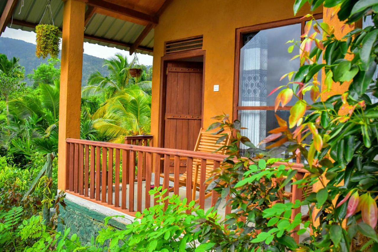 Rainforest Nature House Deniyaya Buitenkant foto