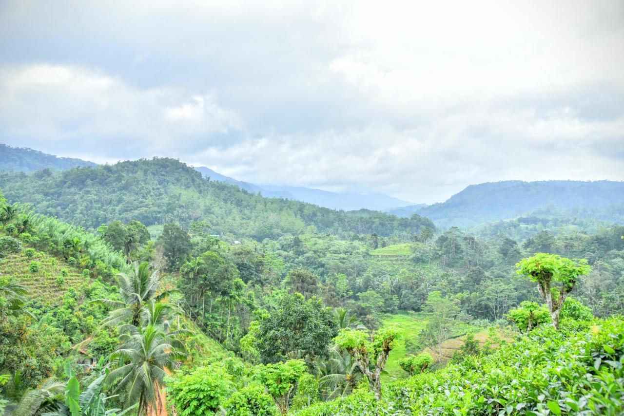 Rainforest Nature House Deniyaya Buitenkant foto