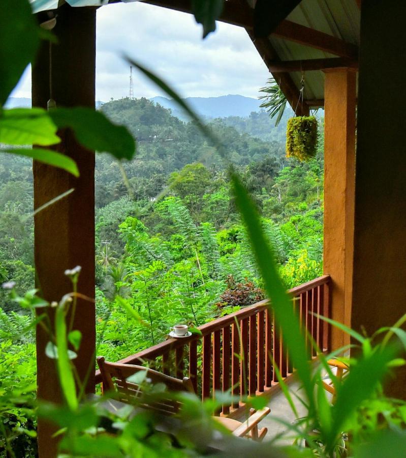 Rainforest Nature House Deniyaya Buitenkant foto
