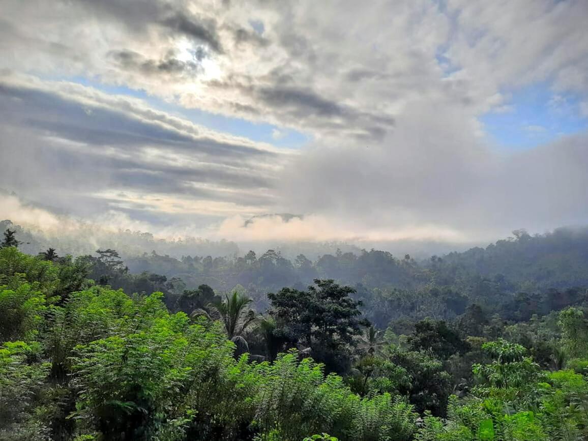Rainforest Nature House Deniyaya Buitenkant foto