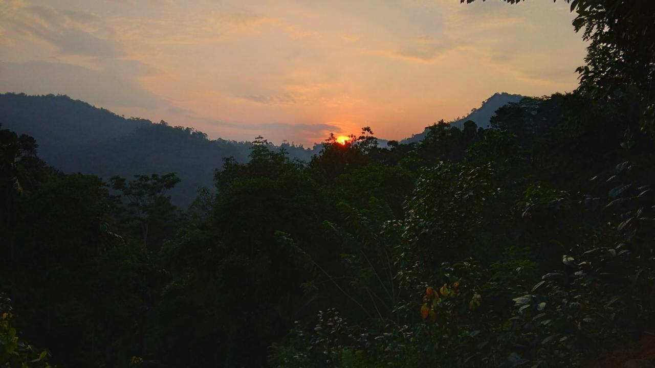Rainforest Nature House Deniyaya Buitenkant foto