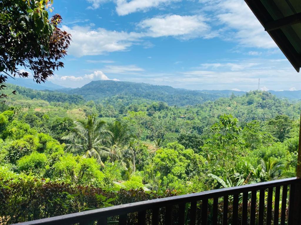 Rainforest Nature House Deniyaya Buitenkant foto