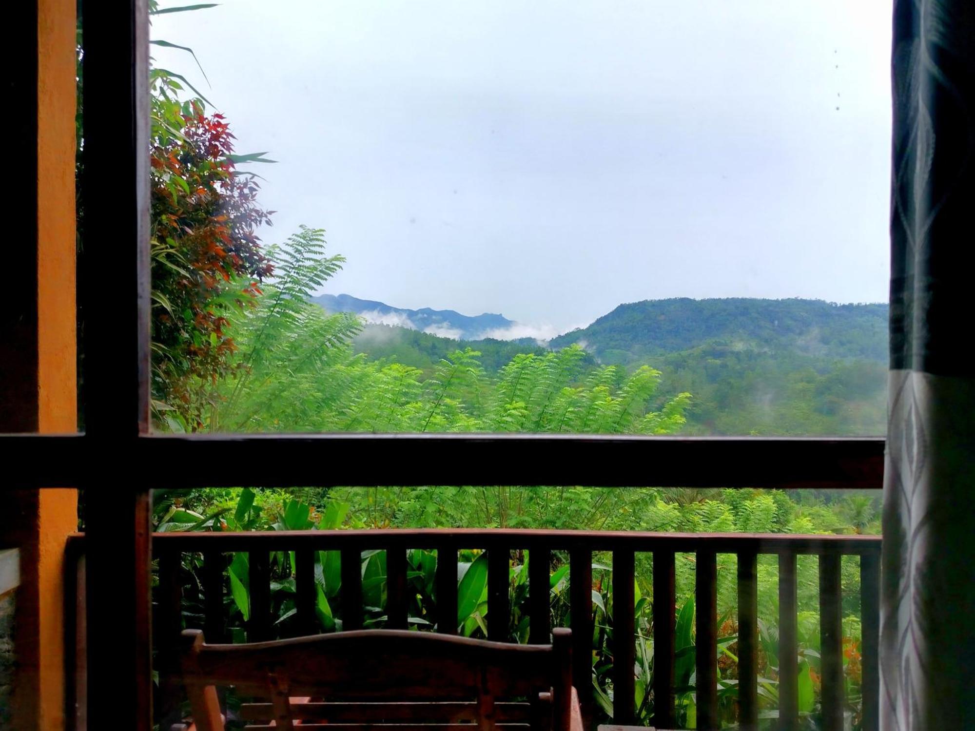 Rainforest Nature House Deniyaya Kamer foto